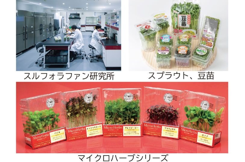 株式会社村上農園